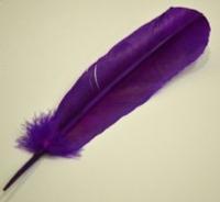 Purple Turkey Feather